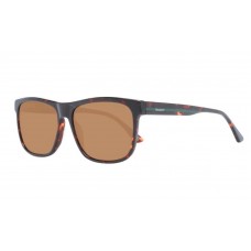 Cонцезахисні окуляри HACKETT Polarized HSK3346 черепаховий