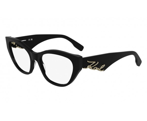 Оправа пластикова Karl Lagerfeld KL 6189 чорний