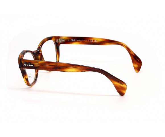 Оправа для очков Ray Ban RX 0880 черепаховый