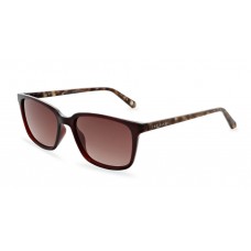 Сонцезахисні окуляри TED BAKER FARLEY 1529 коричневий